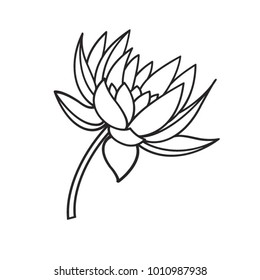 black outline lotus flower vector drawing