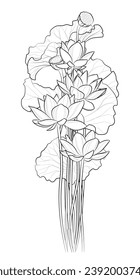 Flores de loto de contorno negro sobre fondo blanco. Dibujo gráfico. Ilustración vectorial.