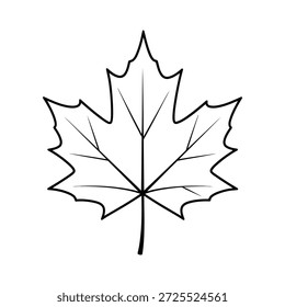 Black Outline of a Maple Leaf on a White Background silhouette black and white