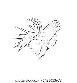 Black outline moose (head) on white background. Graphic drawing. Vector illustration.