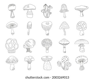 Black outline mushrooms set on white background. Hand drawing food vector illustration. Autumn clipart.