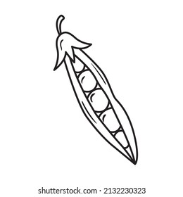 Icono de arvejas de contorno negro. Dibujo manual de la vaina. Esbozar ilustración vegetal. Silueta de doodle del elemento de cosecha