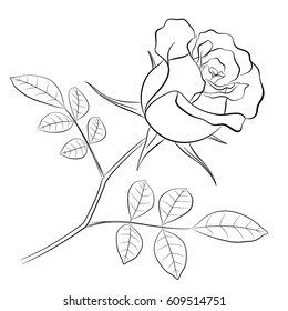 Black outline of a rose flower with a stem and two leaves, on a white background for coloring