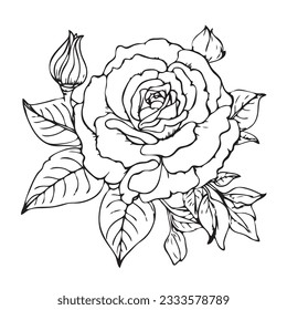 Black outline rose flower vector rose flower