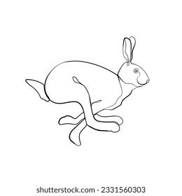 El contorno negro que corre la liebre sobre fondo blanco. Dibujo gráfico. Ilustración vectorial.