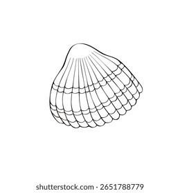 Ícone de concha de contorno preto. Clip-art, ilustração simples de concha marinha no estilo doodle. Criatura aquática no oceano. Adequado para design de verão, atividades infantis ou materiais educacionais