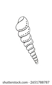 Ícone de concha de contorno preto. Clip-art, ilustração simples de concha marinha no estilo doodle. Criatura aquática no oceano. Adequado para design de verão, atividades infantis ou materiais educacionais