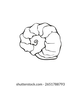 Ícone de concha de contorno preto. Clip-art, ilustração simples de concha marinha no estilo doodle. Criatura aquática no oceano. Adequado para design de verão, atividades infantis ou materiais educacionais