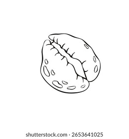 Ícone de concha de contorno preto. Clip-art, ilustração simples de concha marinha no estilo doodle. Criatura aquática no oceano. Adequado para design de verão, atividades infantis ou materiais educacionais