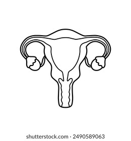 Black Outline Uterus and ovaries woman reproductive system for human organ and anatomy cartoon vector illustration isolate don transparent background for education and science