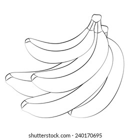 Black Outline Vector Banana On White Background.