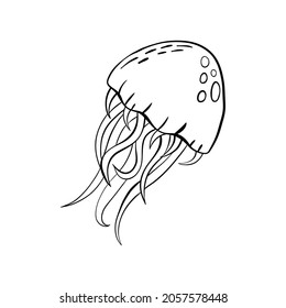 Black outline vector doodle cartoon jellyfish . Vector illustration