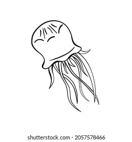 Black outline vector doodle cartoon jellyfish . Vector illustration