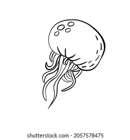 Black outline vector doodle cartoon jellyfish . Vector illustration