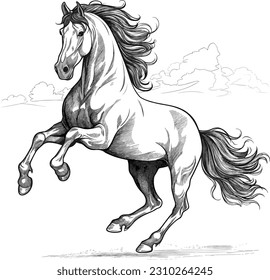 black outline vector Horse isolated on a white background