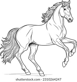 black outline vector Horse isolated on a white background