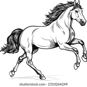 black outline vector Horse isolated on a white background