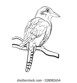 black outlined kookaburra bird-vector drawing