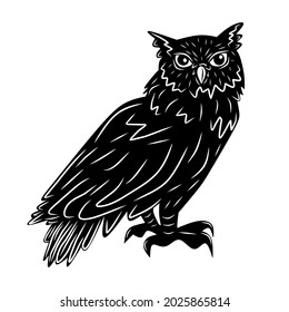 Black owl, cartoon isolated on white background, vector illustration for design and decor, Halloween, sticker, template
