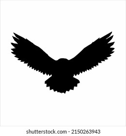 black owl on a white background