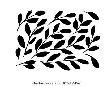 Black paint brush leaves vector collection. Set of black silhouettes bsail or olives leaves. Hand drawn eucalyptus foliage, herbs, plant branches. Vector ink elements isolated on white background.
