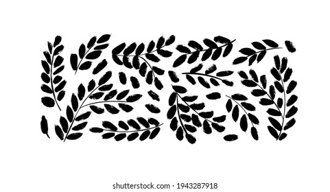 Black paint brush leaves vector collection. Set of black silhouettes banana or protea leaves. Hand drawn eucalyptus foliage, herbs, plant branches. Vector ink elements isolated on white background.