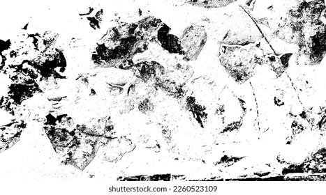 Black paint grunge on white background. Abstract black stained background. Vectorial white and black texture background. Abstract black grunge background.