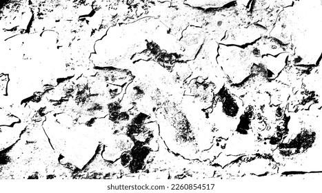 Black paint grunge on white background. Abstract black stained background. Vectorial white and black texture background. Abstract black grunge background.