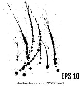 Black paint, ink splash, brushes ink droplets, blots. Black ink splatter background, isolated on white illustration