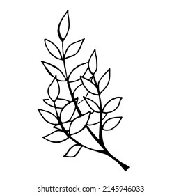 Black painted twigs with leaves outline on a white background
