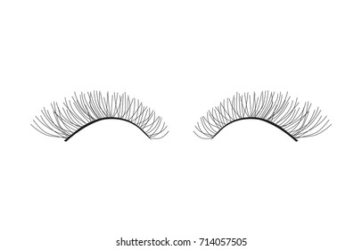 black pair of eyelashes extension- vector illustration
