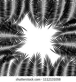 Black Palm Leaf on White Background. Vector Illustration. EPS10