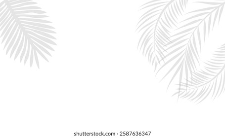 Black palm leaf on white background. shadow of palm leaves seamless vector floral background. wallpaper, fabric print. vector illustration