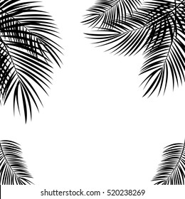 Black Palm Leaf on White Background. Vector Illustration. EPS10