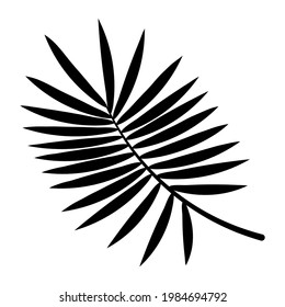 Schwarze Silhouette aus Palmblättern. Palmenbaum, Tropen. Vektorgrafik einzeln auf weißem Hintergrund. Für Sommerdesign, Flyer, Poster, Banner, Web, Werbung.
