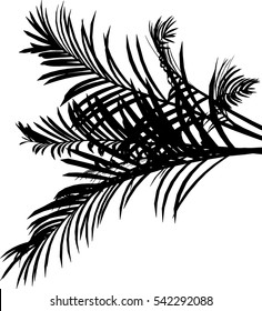 Black Palm Leafs on White Background, isolated. Vector Illustration.