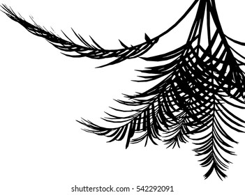 Black Palm Leafs on White Background, isolated. Vector Illustration.