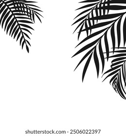 black palm leaves background design summer concept