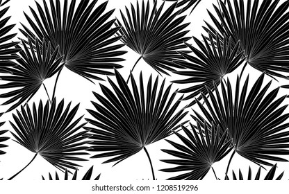 Black palm leaves pattern. Vector illustration. Botanical seamless wallpaper. Digital nature art. Cartoon style sketch. White background.