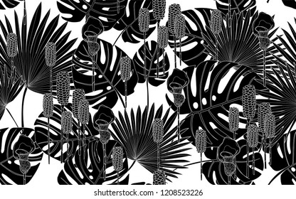 Black palm and monstera leaves pattern. Vector illustration. Botanical seamless wallpaper. Digital nature art. Cartoon style sketch. White background.