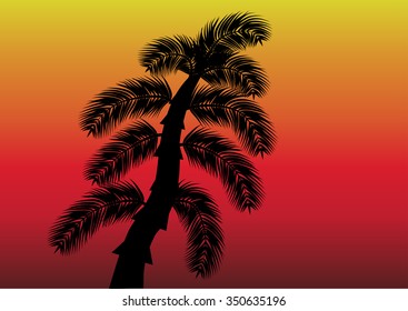 Black palm on the sunset background