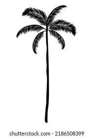 black palm silhouette over white