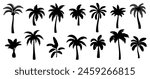 Black palm silhouettes. Tropical trees shadows. Variety beach palms with leaves. Oasis, paradise, island, resort, vacation monochrome symbols isolated on white background. Vector set. Hawaii nature