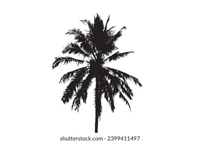 Black palm tree isolated on white background.