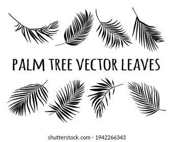 Black Palm Tree Leaves Silhouette Vector Drawing.Tropical leaf stencil shadow isolated on white background. Posters, Cards, Photo,Overlay, Print, Vinyl wall sticker decal. Plotter laser cutting file.