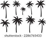 Black palm tree set vector illustration on white background silhouette 