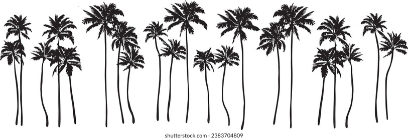 Black palm tree set vector coconut tree illustration on white background  silhouette black white stock illustration png