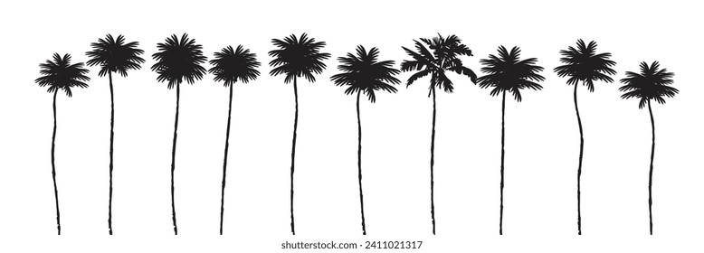 Black palm tree set vector illustration isolated on white background silhouette art black white stock illustration logo icon png. tropical, beach, landscape, pattern, paradise, coconut background