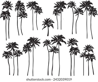 Black palm tree set vector illustration isolated on white background silhouette art black white stock illustration logo icon png. tropical, beach, landscape, paradise, coco, coconut background