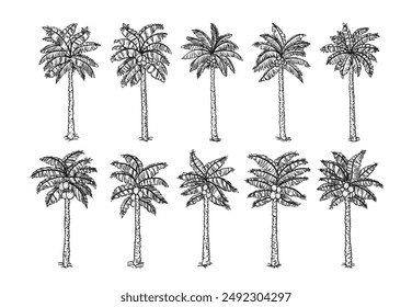 Black palm tree set vector illustration on white background silhouette art black white stock illustration